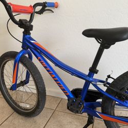 Specialized Riprock 20inch Bike 