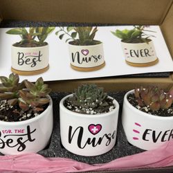 Valentines Gifts  💝10.00  dls Each To 25.00 dls Each 