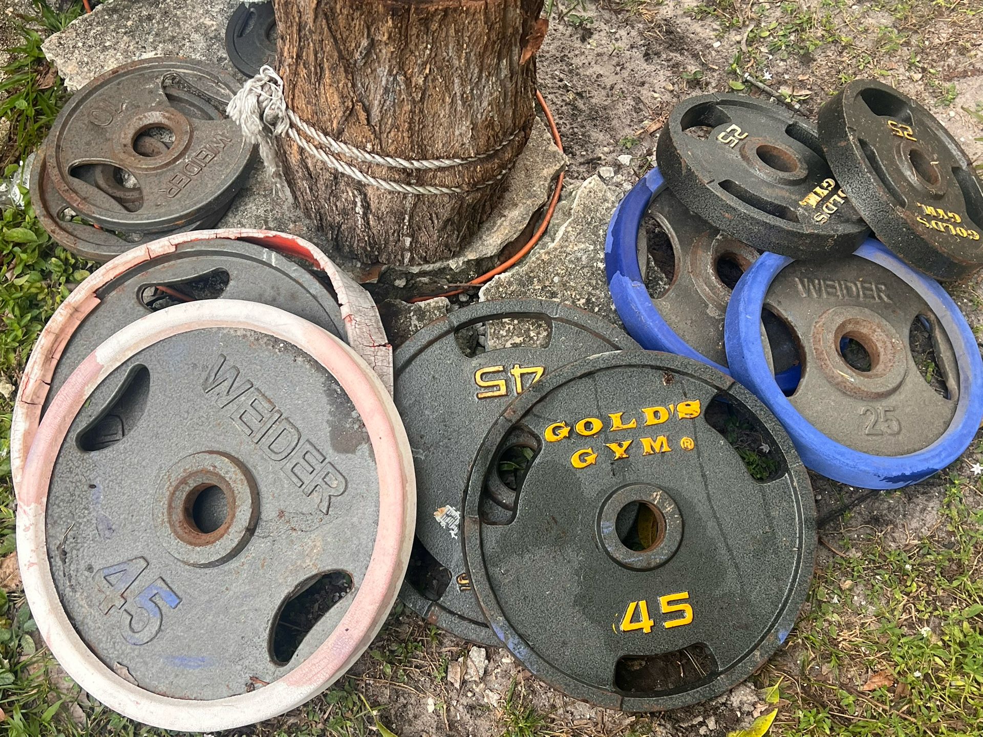 Good Deal On Weights And Bars. 