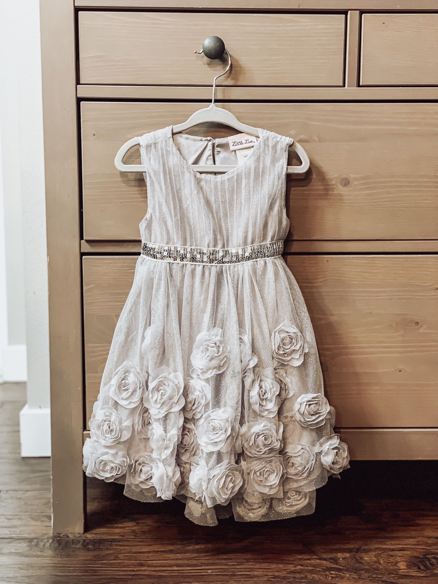 Holiday Dress, Silver, Size 24 Months