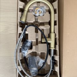 Gold Kitchen Faucet w/ Pull Down