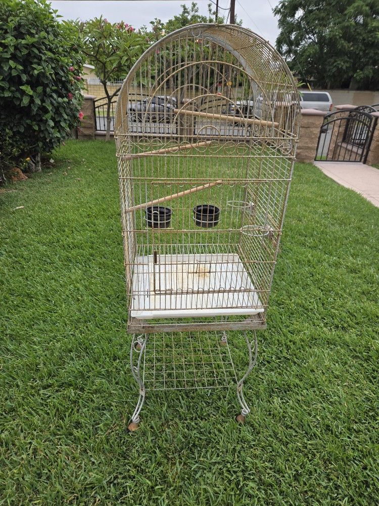 Bird Cage