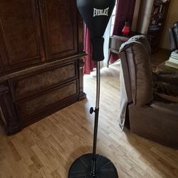 Everlast reflex speed bag