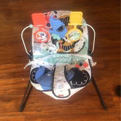 Baby Bouncing Chair