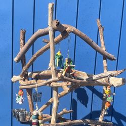 Large Parrot / Macaw Perch Tree …, Big N Gnarly… All Custom Made! Each Unique … 👍🏼