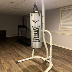 Everlast Punching Bag With Stand And Gloves 