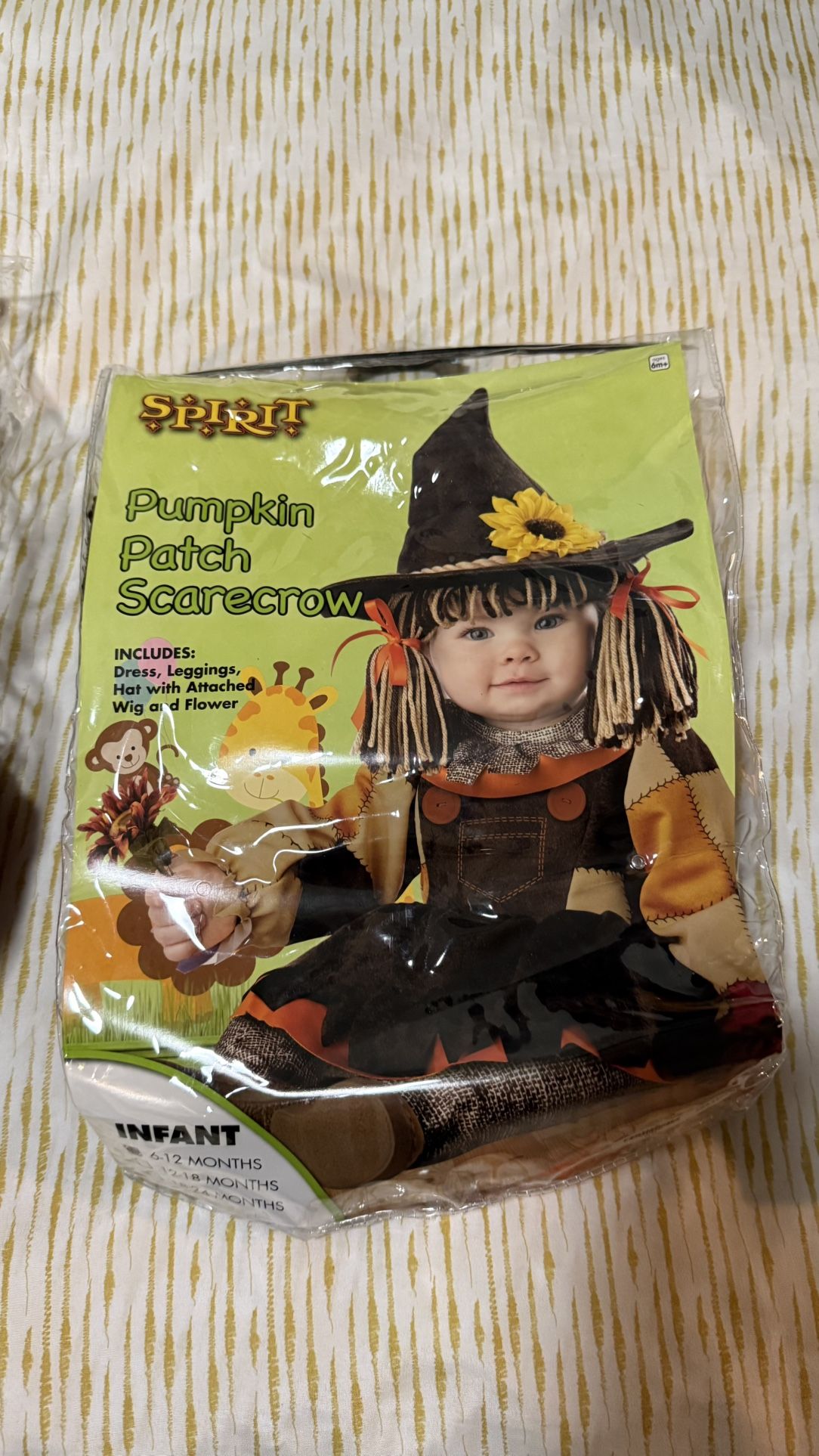 Halloween Costume (Pumpkin Patch Scarecrow)