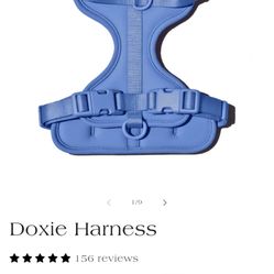Dog Harnesses And Leashes 