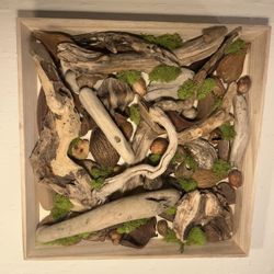 Driftwood Nature Wall Hanging 