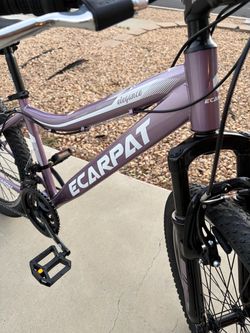 Bicycle Ecarpat