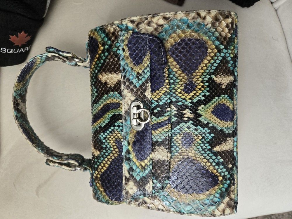 Chanel Python Skin Bag