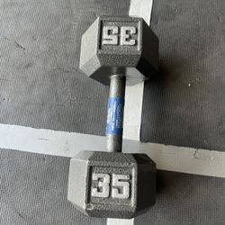 35lb Dumbbell