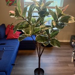 Plastic Decoration Plant