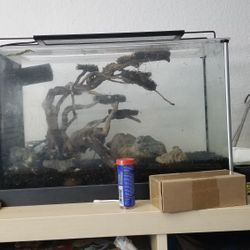 5 Gallon Fluval