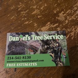 Trees 🌳🌲🌴 Everything About Trees 🌳 