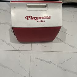 Playmate Igloo Cooler