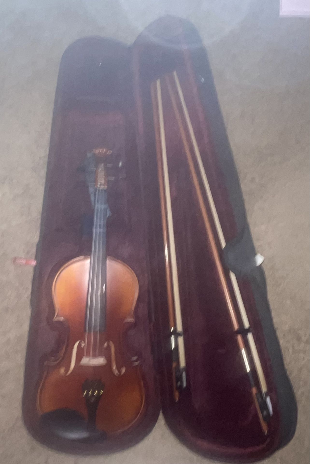Violin
