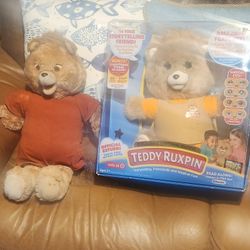 Bear