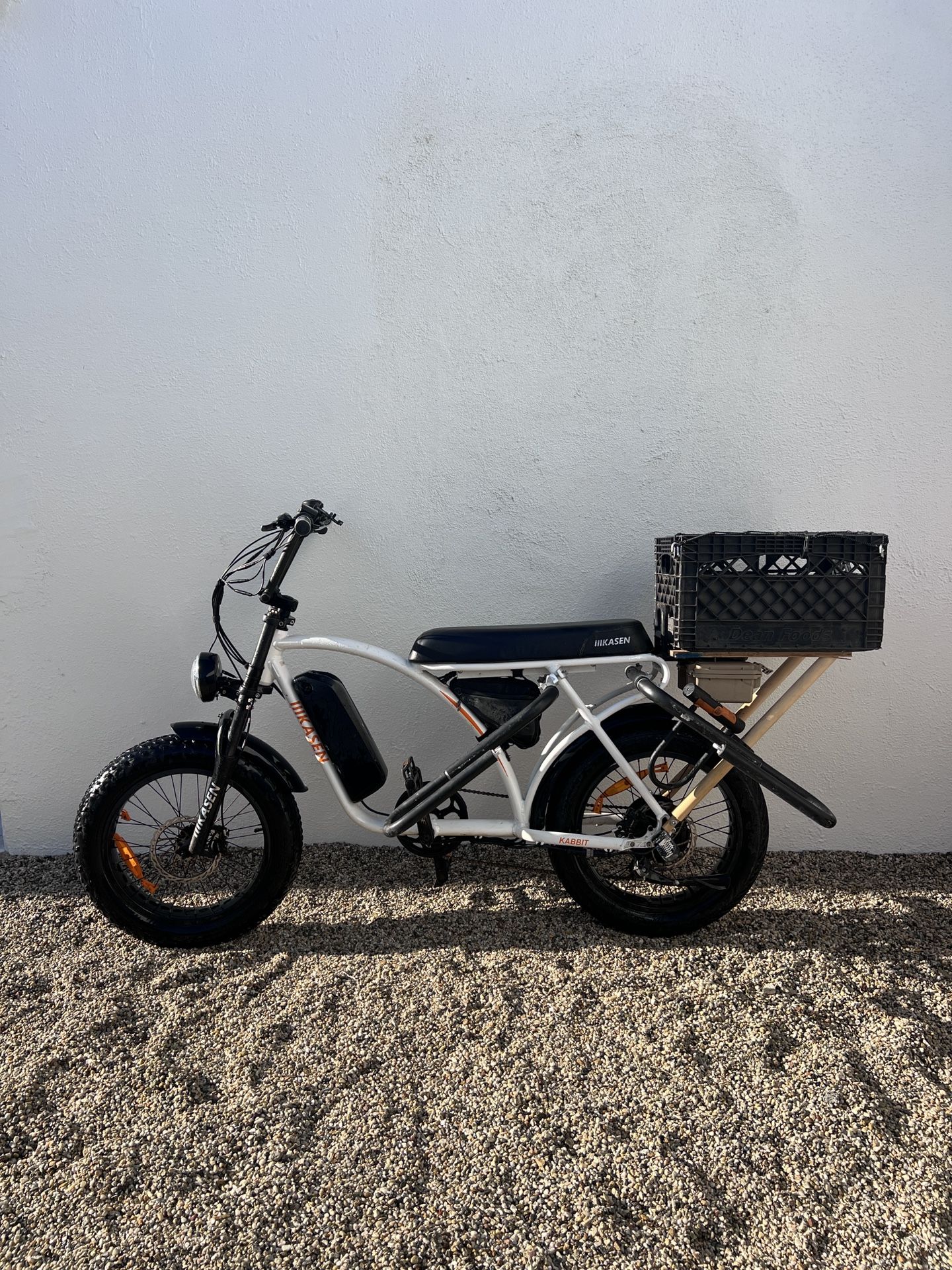 Fat Tire E-Bike with Surf Rack