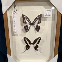 Butterfly Wall Decor