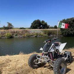 Trx 450er