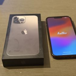 iPhone 13 Pro Max - 256 GB - Unlocked 