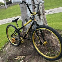 GT Interceptor 26”  Bmx 2012    Redline Dyno Diamondbacks