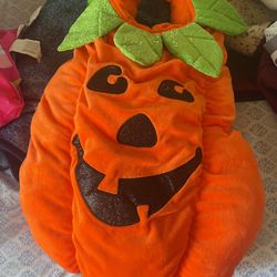 Pumpkin Costume Dog 