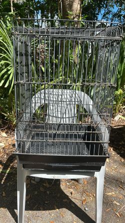 Bird Cage 🦜