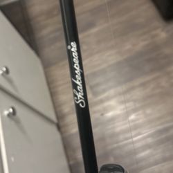 Shakespeare Rod