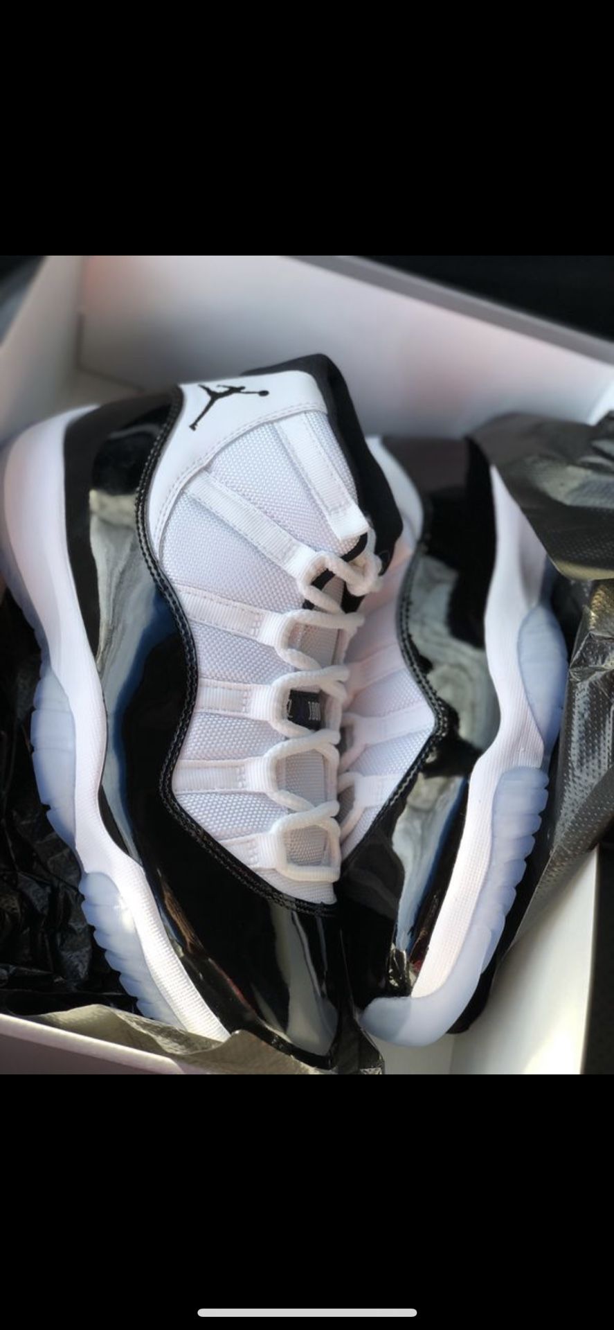 Jordan 11s Concords