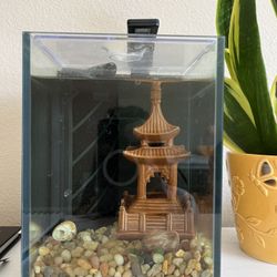 1 Gallon Tank With Filter/waterfall 