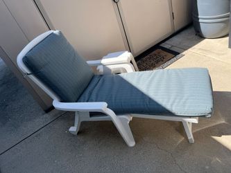 Lounge Chair Cushions (Like New)