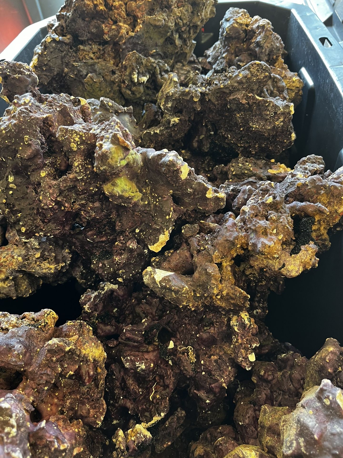 Real Reef Live Rock 150 Plus Lbs