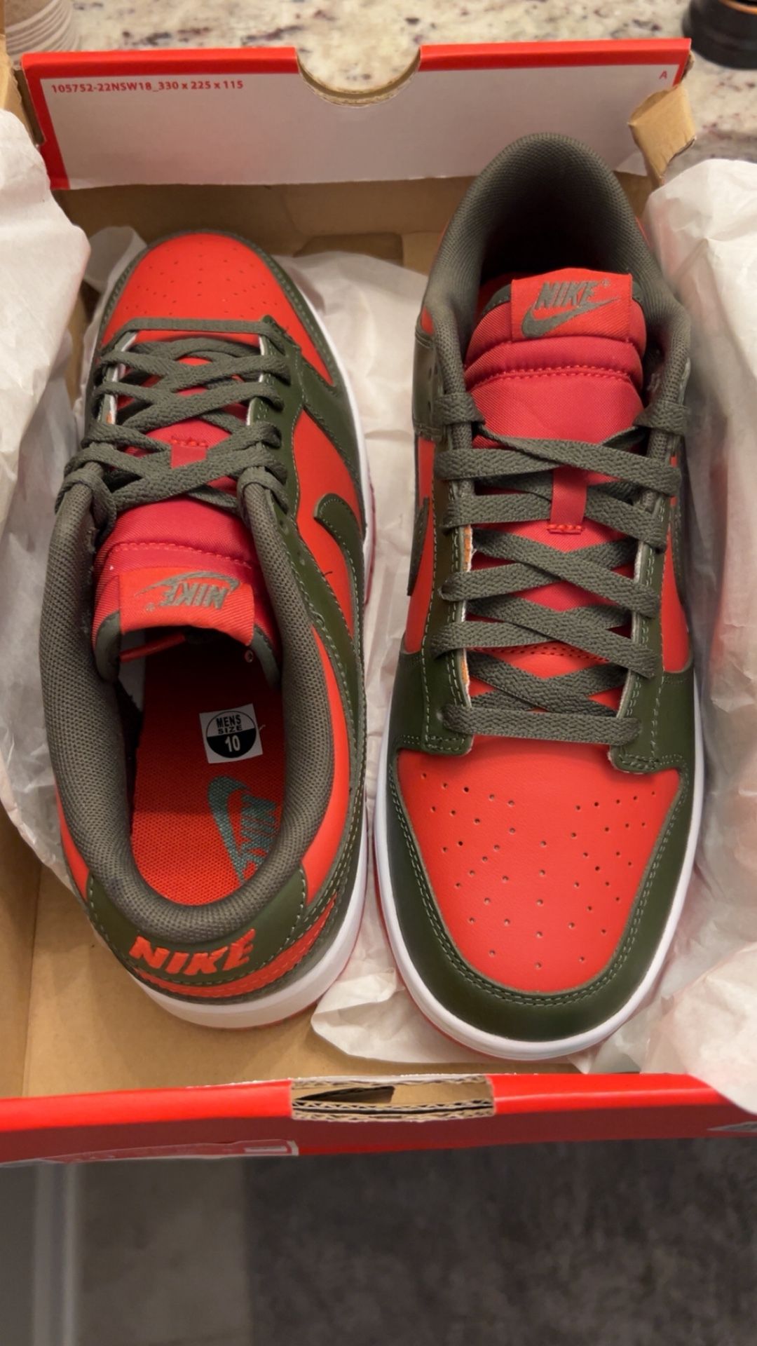 Brand New Men’s Dunk Lows