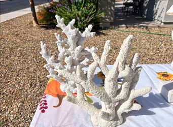 White Coral Reef Decorative Sculptures Set of 2