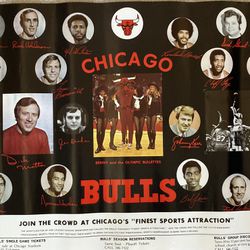 Vintage Chicago Bulls Team Poster. 