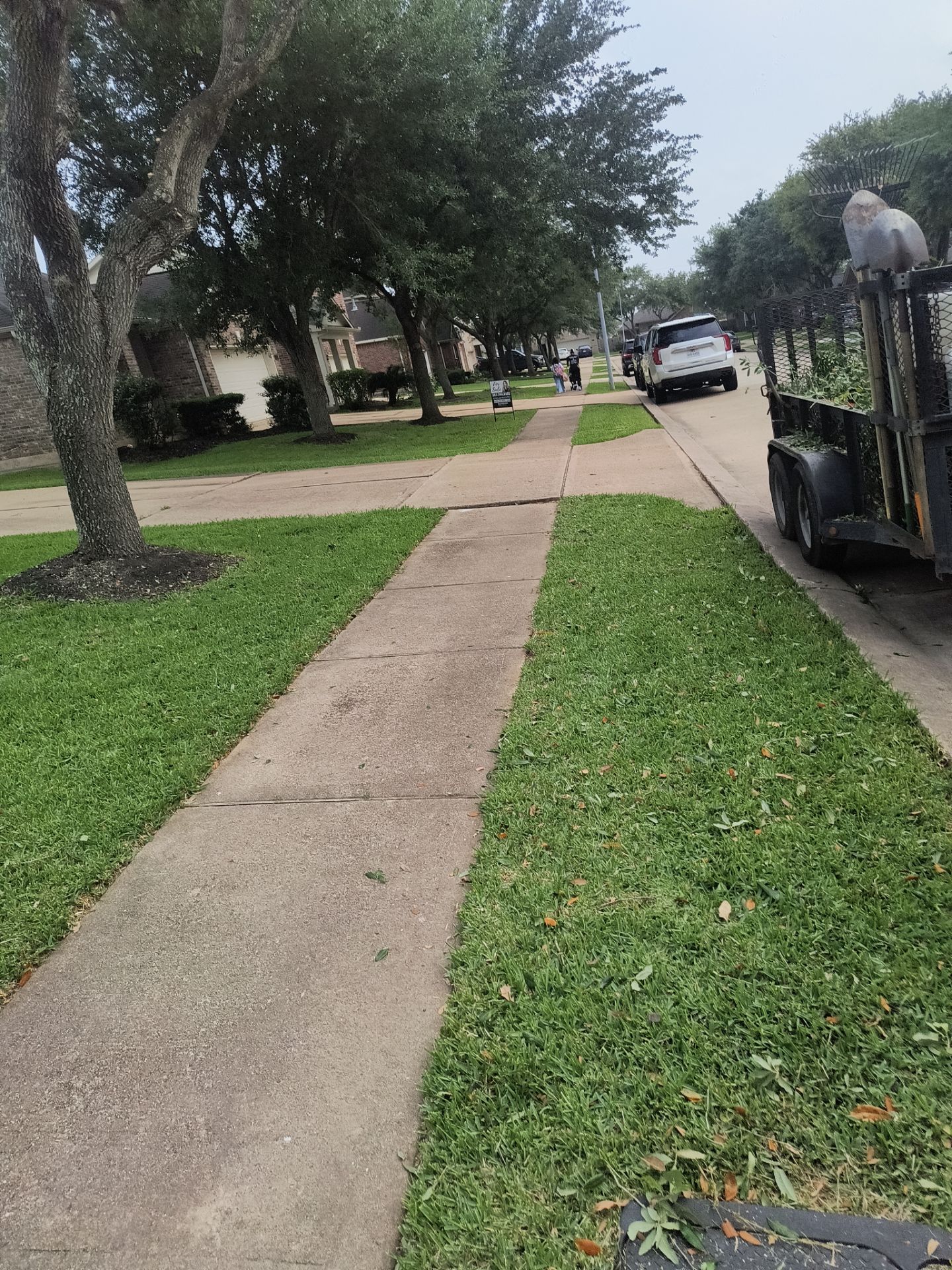 Grass cut