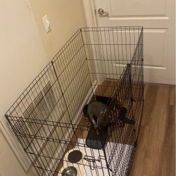 Dog Crate