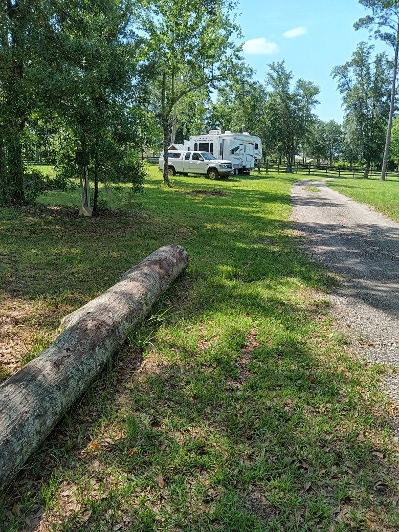 Five Acre Lot For Sale Old Lloyd Rd Monticello