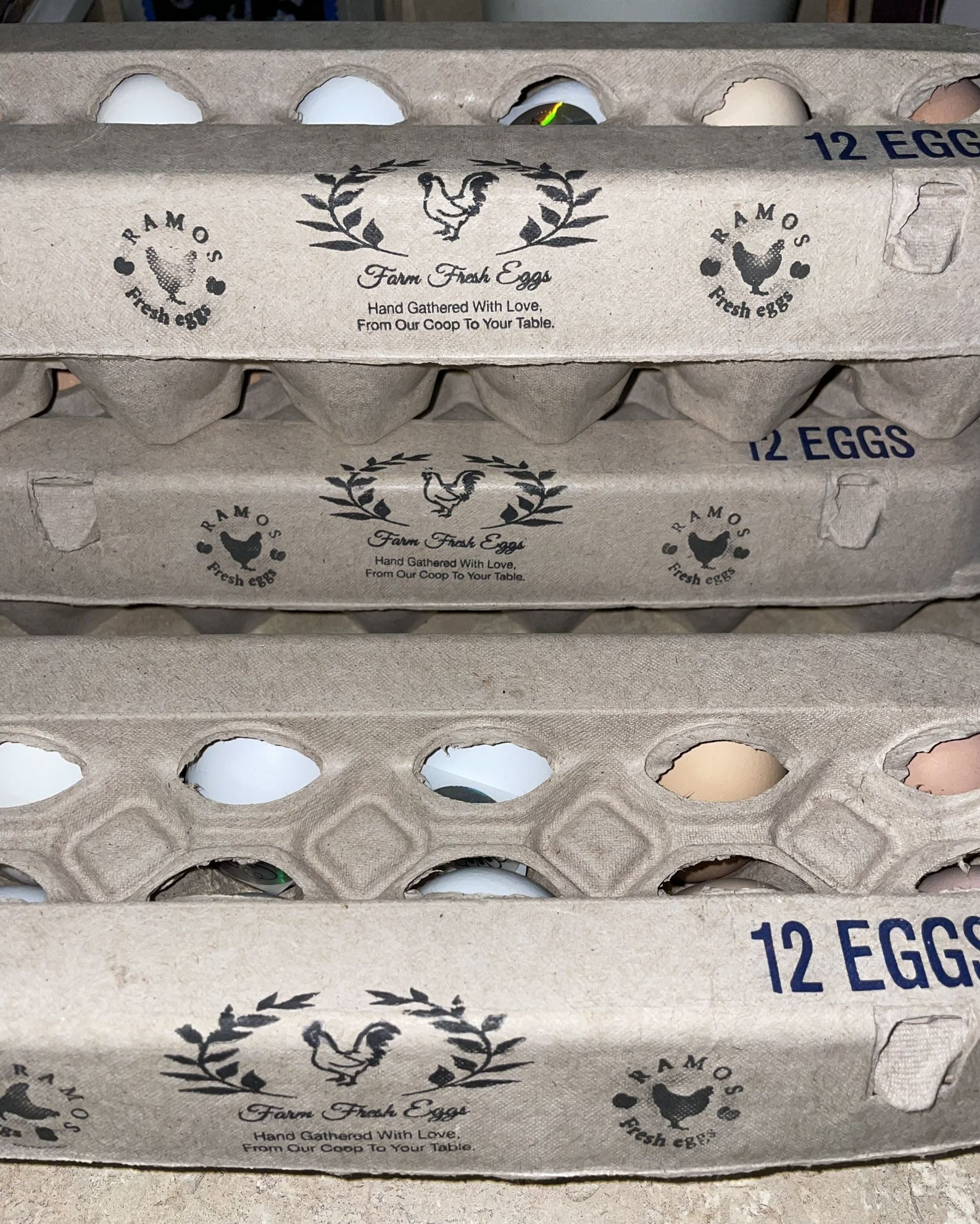 Fresh Eggs 