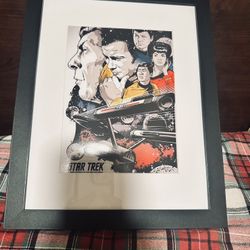 ✨STAR TREK PRINTS