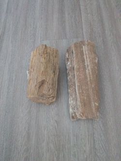 My petrified wood
