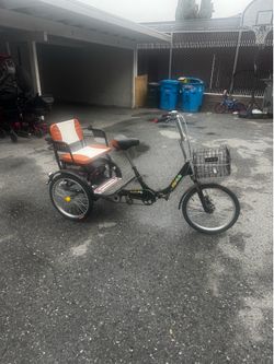2 person adult tricycle