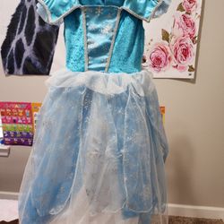 Queen Elsa Dress Costume 