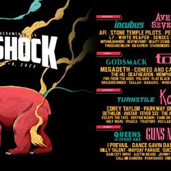 Afterschock Music Festival: Single Day General Admission Pass (Saturday)