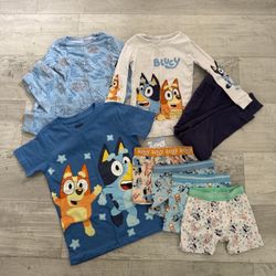 Bluey Bundle 