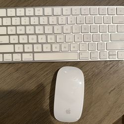 Apple Magic Mouse And Keyboard 