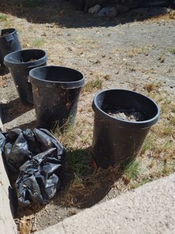 5 gallon plant container,3 left and a 3 gallon Heavy duty plastic