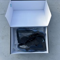 Brand New Jordan 11 Gamma